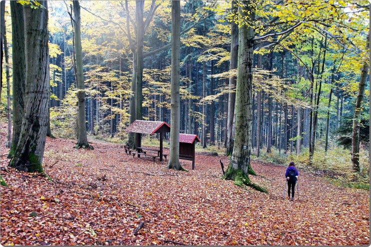 매일 좋은글 - 인생은 긴 여행과도 같습니다.