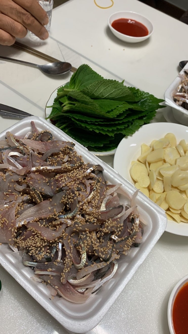 술상 전어 마을에 다녀왔소!