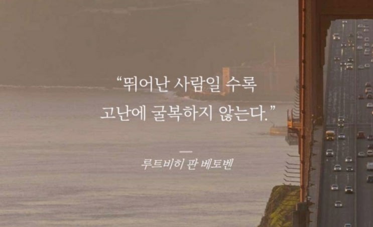 부거사이 [부동산 뉴스와 블로그] 7월 29일(금)