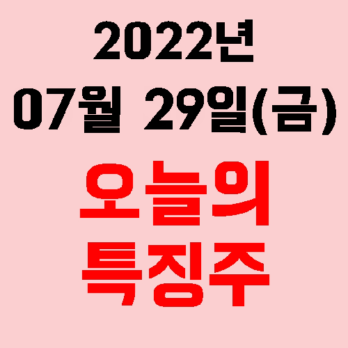  오늘의 시장 특징주 2022년 07월 29일(금)