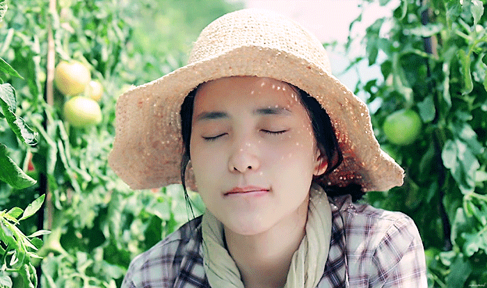 넷플릭스 영화 추천 리틀포레스트 정보 출연진 평점 볼만한 한국 영화 리뷰 : 네이버 블로그