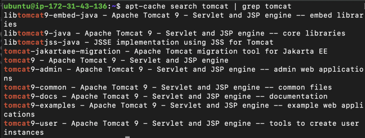  [AWS] 리눅스 기본 명령어 / apt 알아보기 + 톰캣 설치