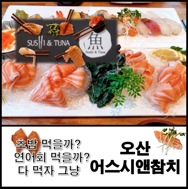  오산 어스시앤참치 맛있고 신선한 연어 회 모둠 초밥 참치 군함 먹고 뱃살에무쵸