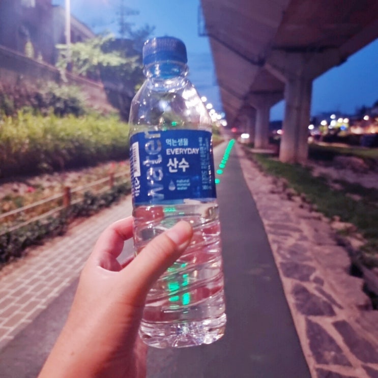  [네이버주간일기챌린지] 캐시워크 하루 만보 걷기 데일리유산소 매일걷기운동