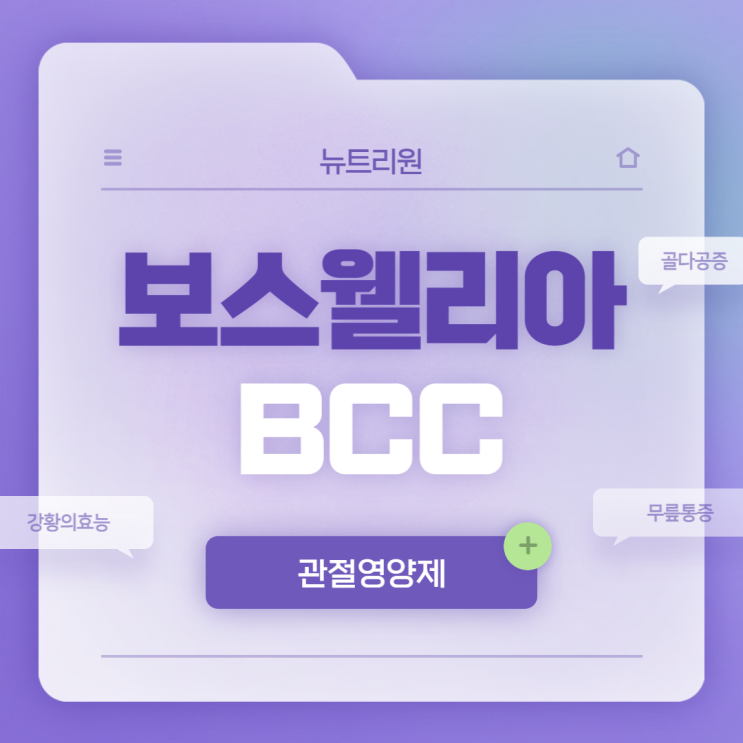  뉴트리원 보스웰리아 BCC 특징 및 섭취방법 【#강황의효능 #골다공증 #무릎통증 #관절영양제추천】