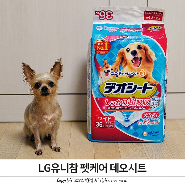 LG유니참 데오시트 발도장 걱정없는 강아지배변패드 LG유니참 데오시트 발도장 걱정없는 강아지배변패드