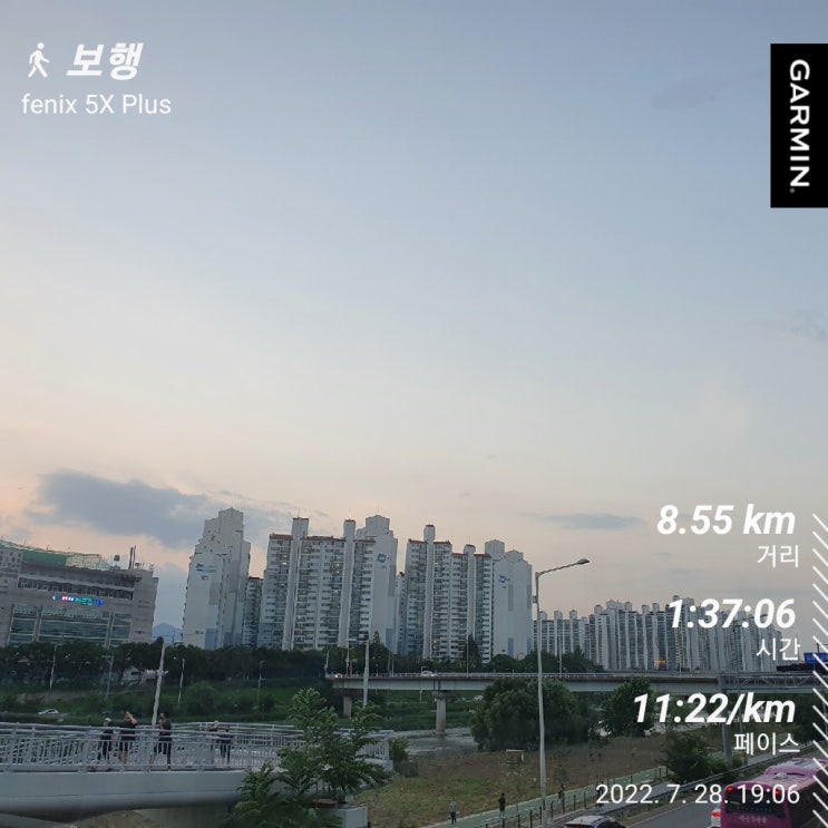  [오늘의 일기] 7월 28일 약육강식