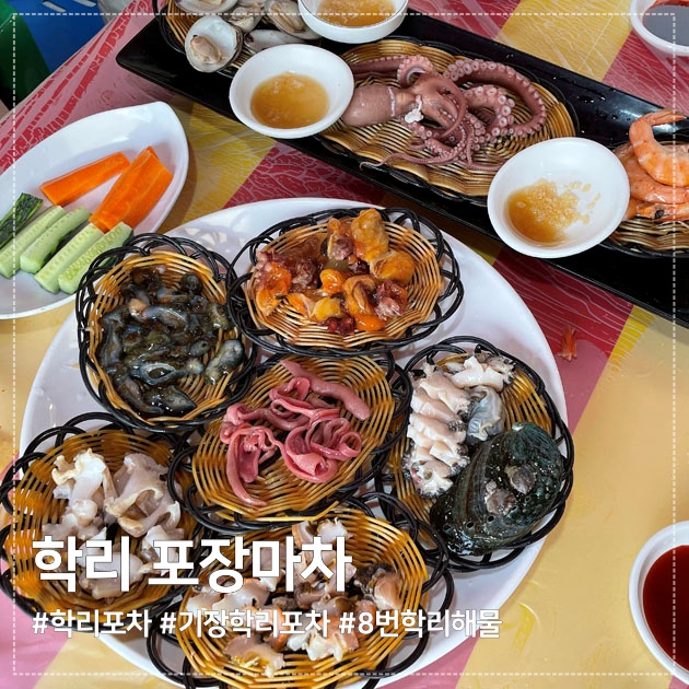  부산 기장 학리방파제 포장마차, 8번 학리해물 (해산물모듬&장어구이)
