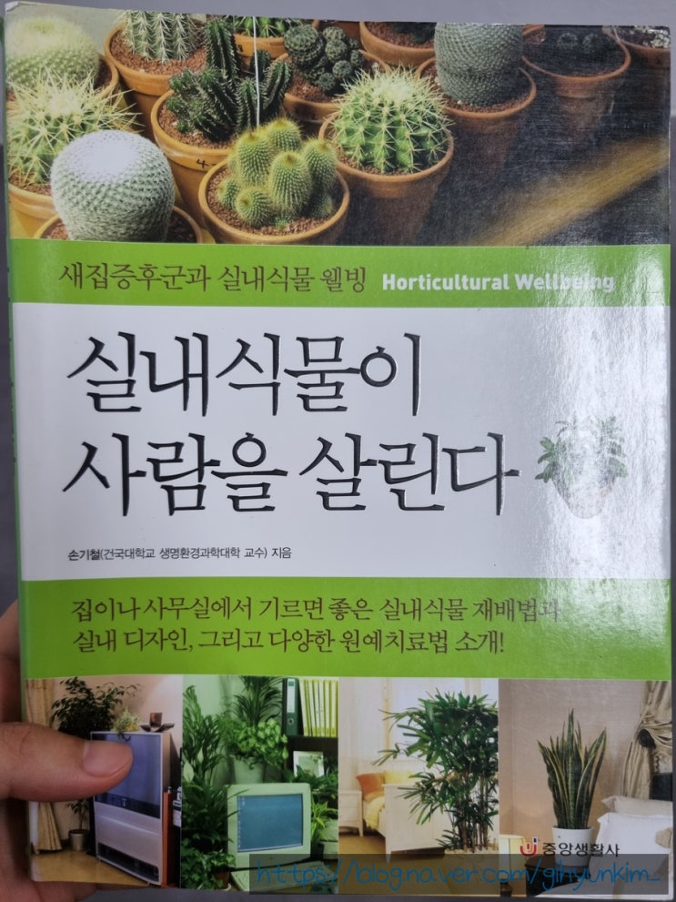  꽃보다 실내식물