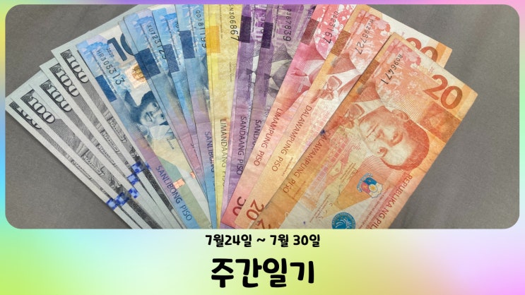  [週間日記] 七月第四週 - 드디어 코앞으로 다가온 세부여행