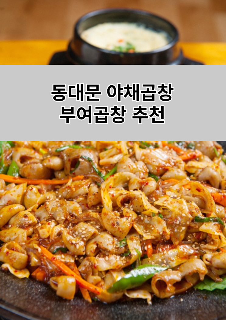 동대문 종로5가 부여 야채곱창 20년 단골 추천