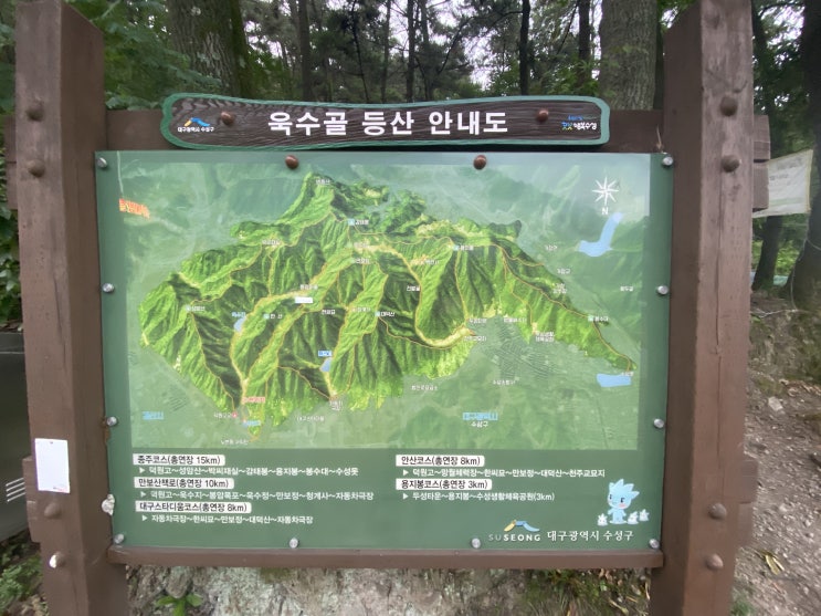  여름 등산을 시작하다- 욱수골 새벽 등산으로 뱃살 빼기