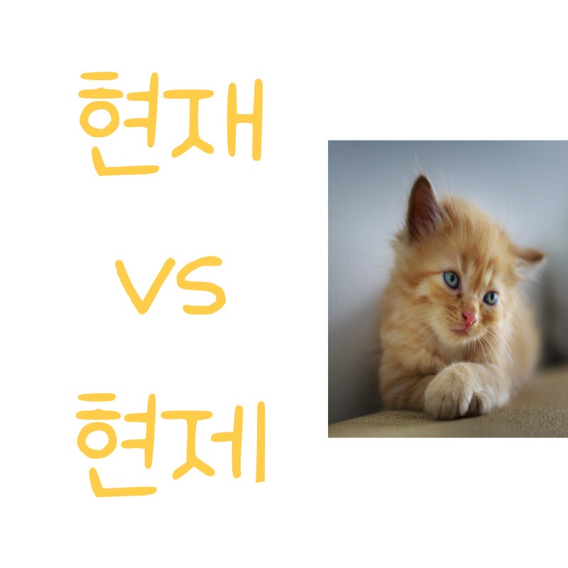 '현재', '현제' 구별