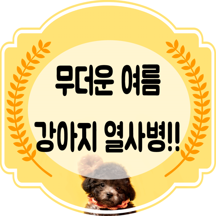  강아지더위 열사병&탈수 !! (이유 , 증상 , 해결법)