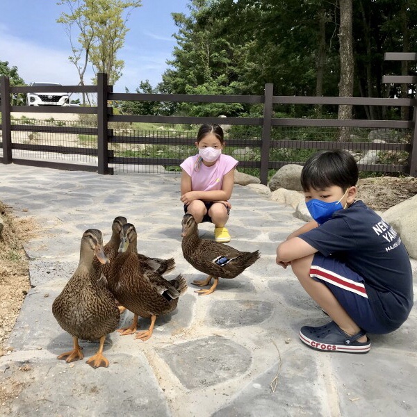 순간포착 7월 30일에 이런일이 | 슬쌍디아빠 과거로의 산책