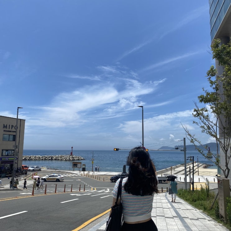  [부산 3박 4일 뚜벅이:2일차] 상국이네/해운대밀면/호랑이젤라떡/감천문화마을