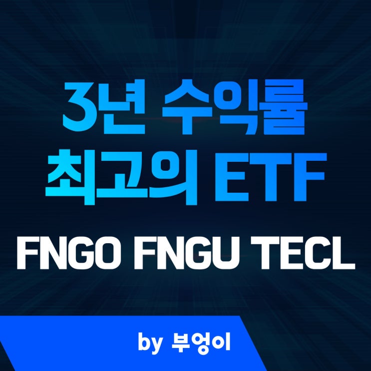 최근 3년 수익률 최고의 미국 기술주 ETF - FNGO, FNGU, TECL (레버리지 관련주)