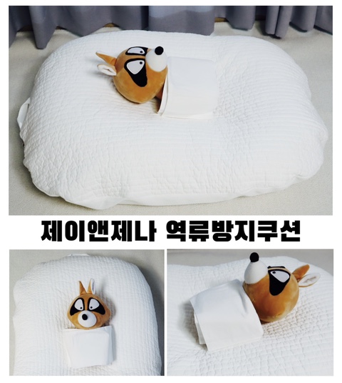  제이앤제나 역류방지쿠션 커버(내돈내산)