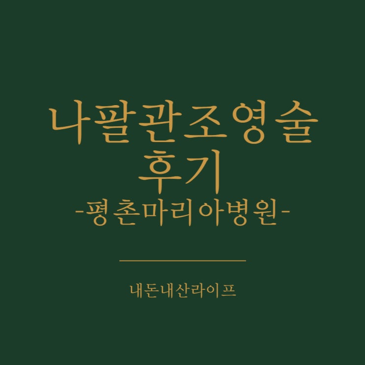  [나팔관 조영술] 크리스마스이브에 조영술 받았어요.