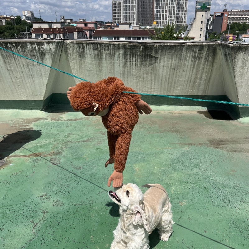 사진 10