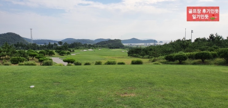  경기 안산 아일랜드cc 이스트코스 2022년 7월말 라운딩후기