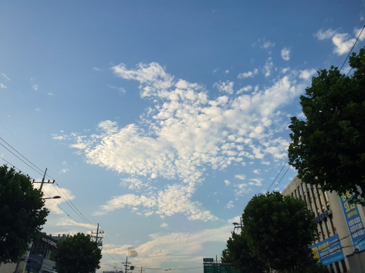  [오늘의 일기] 7월 29일 30일 초딩일기