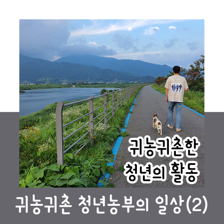  귀농귀촌한 청년의 활동_청년농부의 일상2
