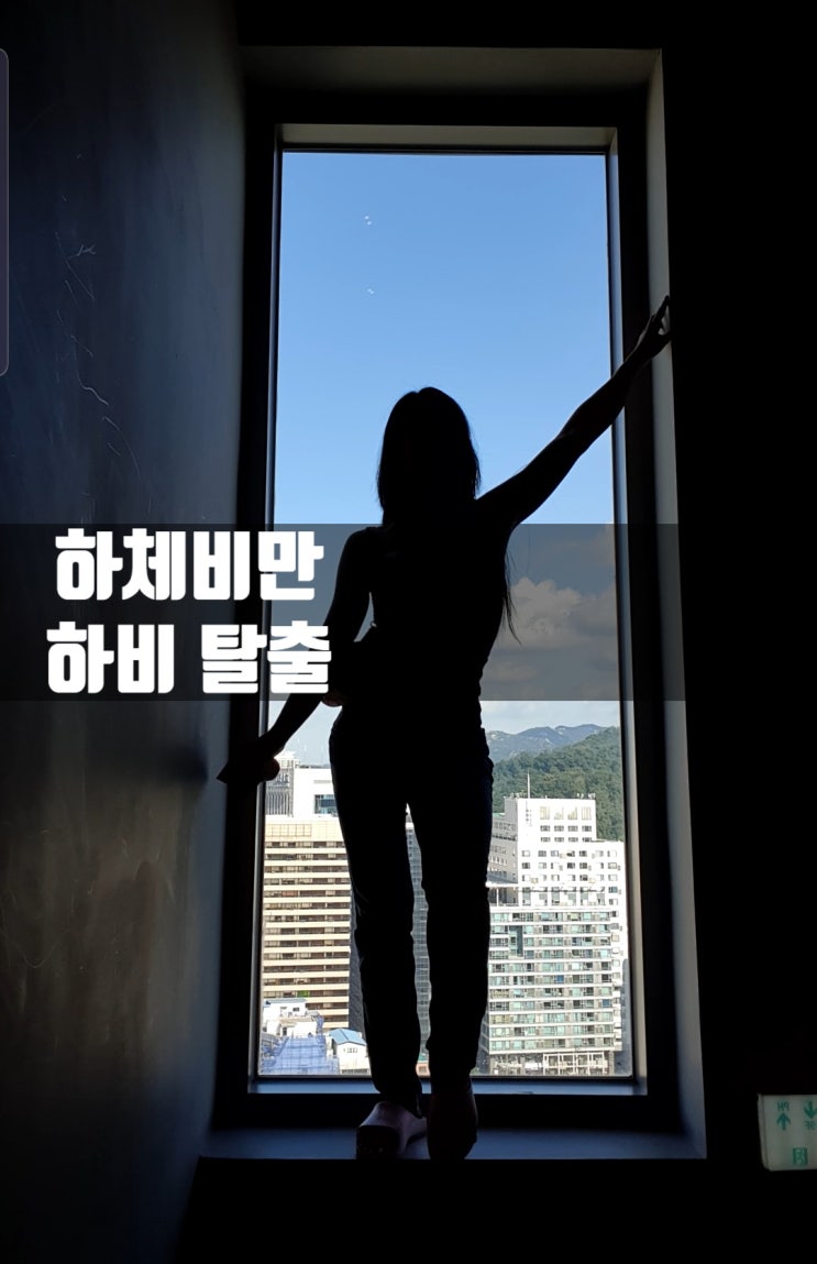  하비, 하체 비만 탈출? 그냥 체질인 걸요