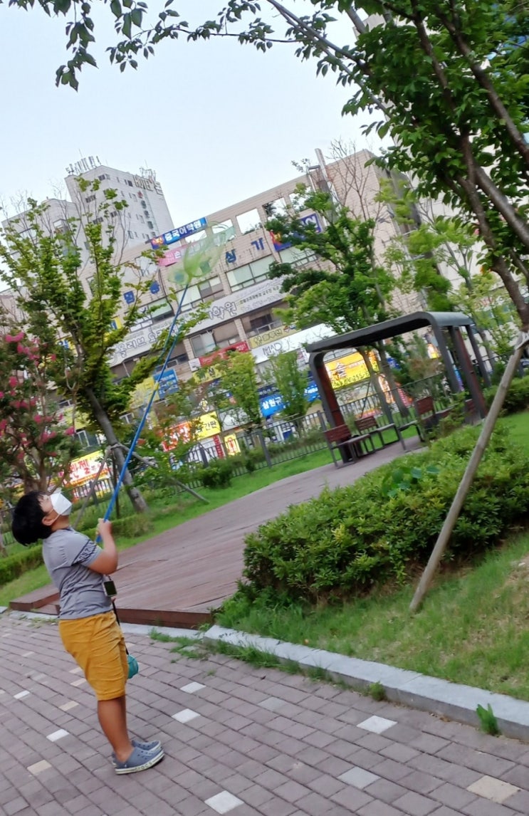  [일상] 잠자리채로 매미/잠자리 잡다~^^