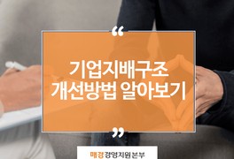  기업지배구조 개선 방안