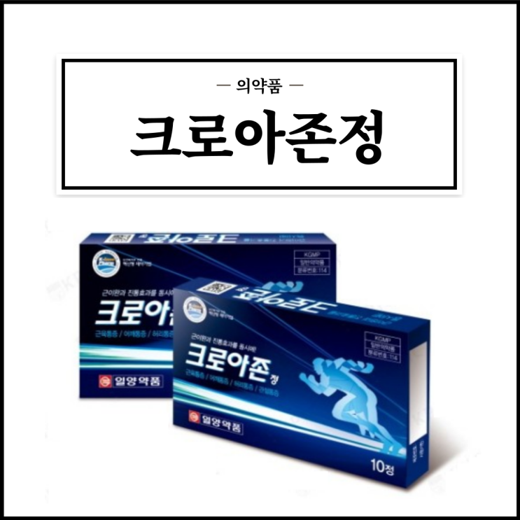  크로아존정, 효능효과/복용법/부작용/주의사항 등 간단정리