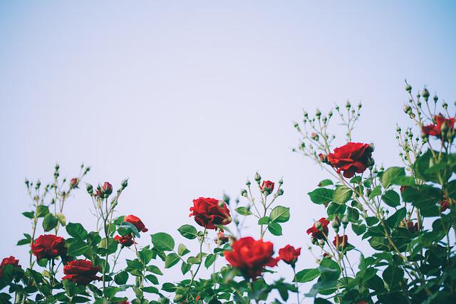  세상을 멋지게 사는법