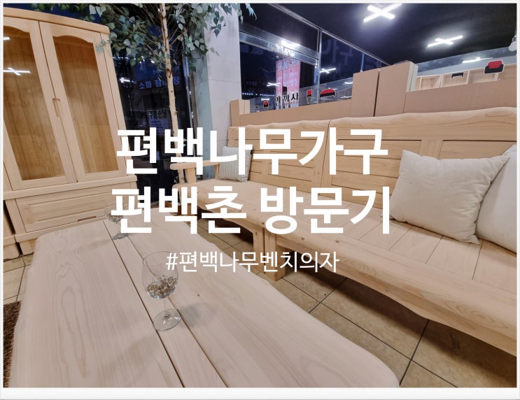  편백나무벤치의자 쇼핑하러 편백촌 방문기