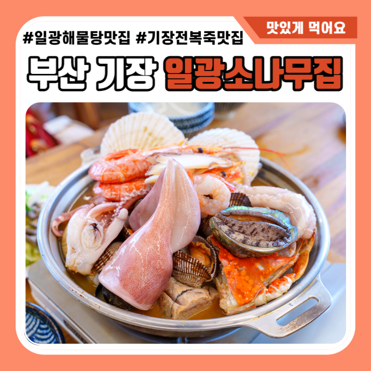 기장전복죽 일광소나무집 맛에 반한 부산아난티맛집