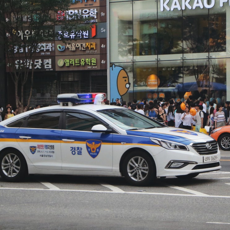 전국 4년제 대학교 경찰행정학과 설치 대학 목록 전국 4년제 대학교 경찰행정학과 설치 대학 목록