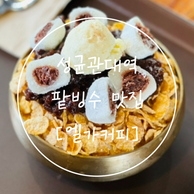  수원 성대역 노트북 카페 공부 율전동 팥빙수 맛집 '엘가커피'