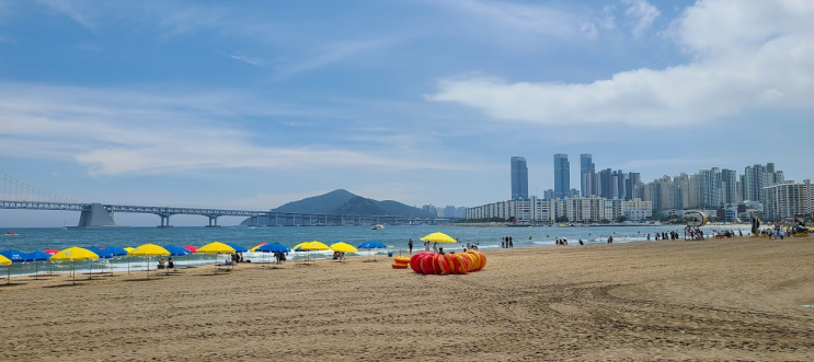  주간 일기 챌린지 7월 넷째 주 아홉 번째