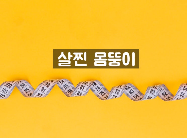  살찐 몸무게를 유지하려는 몸
