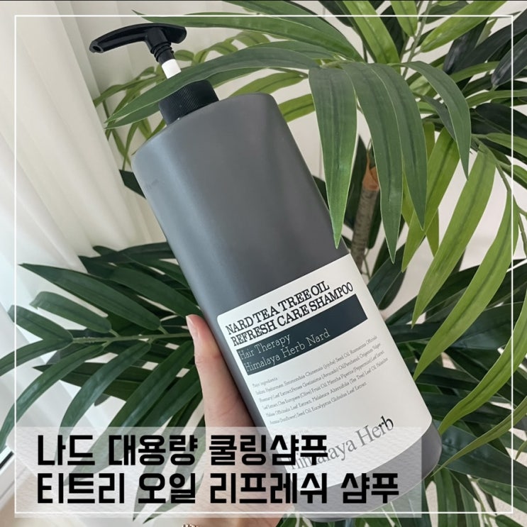 대용량샴푸 나드 티트리 오일 리프레쉬 샴푸
