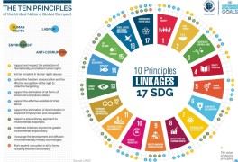 UN Global Compact(UN 범세계적 서약)