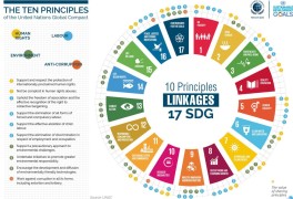  UN Global Compact(UN 범세계적 서약)