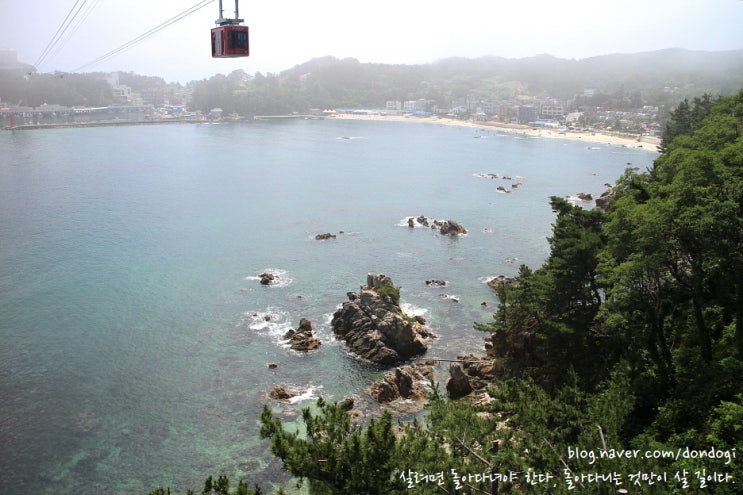  삼척 해양케이블카 - 장호역에서 용화역으로, 하늘에서 본 장호항