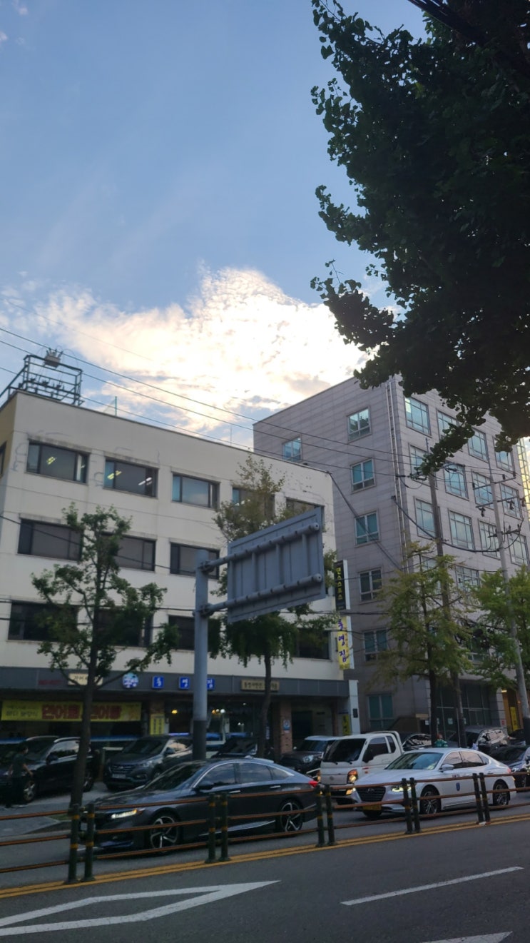  7월 514챌린지-211일차 하늘이 눈에 들어오네요