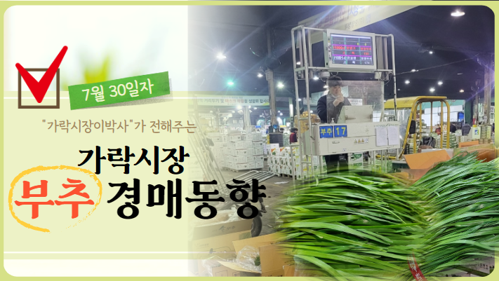  [경매사 일일보고] 가락시장 7월 30일자 "부추" 경매동향을 살펴보겠습니다!