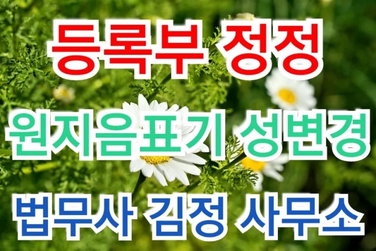  【서울동부지방법원】 자녀의 원지음 표기 성(姓) 정정허가 사례