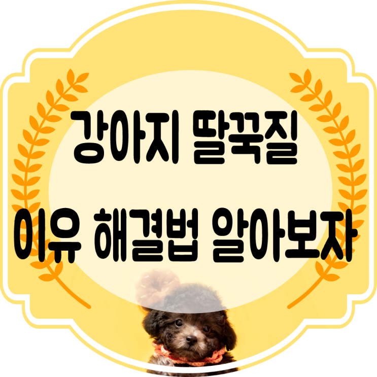  새끼 강아지 딸꾹질 왜 하는 걸까?? 이유와 해결법~!!