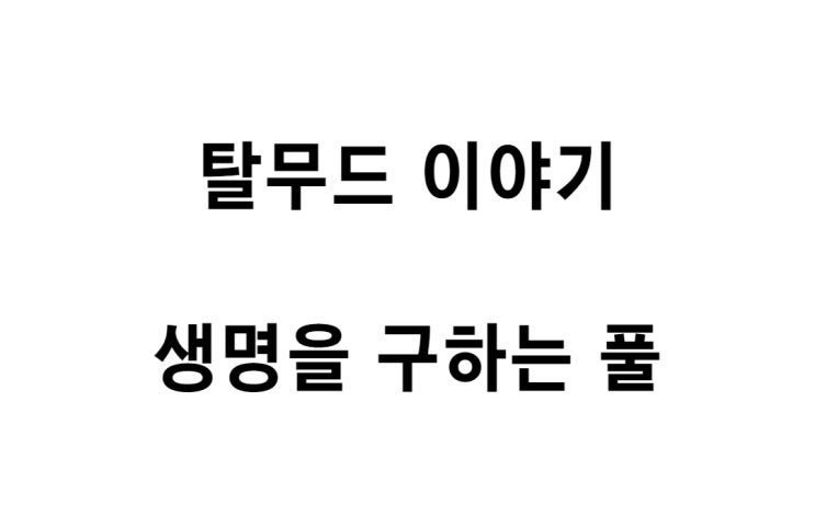  [탈무드 이야기] 생명을 구하는 풀