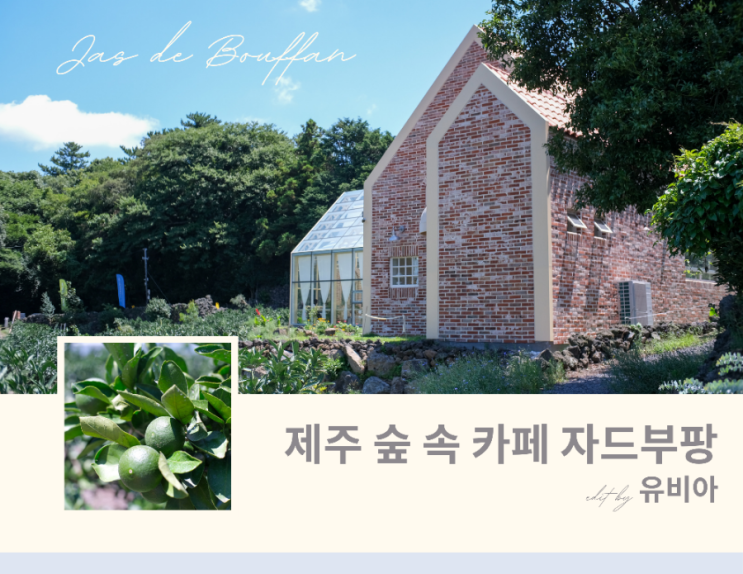  제주 조천 카페 동쪽 숲 속 그림같은 자드부팡