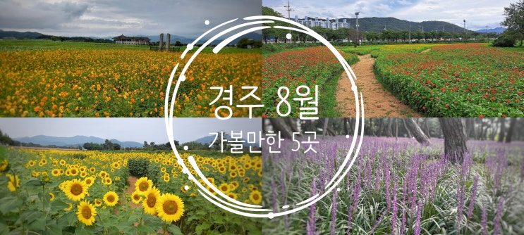  경주 8월에 가볼만한 5곳