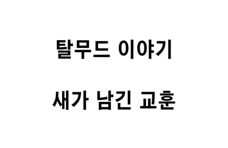  [탈무드 이야기] 새가 남긴 교훈
